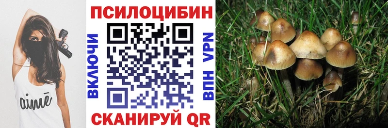 Галлюциногенные грибы Psilocybe Купить закладки Кемь