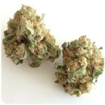 Шишки "White Widow"  (Белая вдова)  Гидропоника -  Бошка VHQ в Кеми